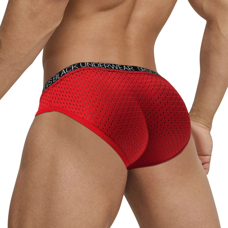 Sexy Men Mesh Underwear Briefs Gay Pouch Cuecas Man Sissy Panties Thongs Men's Underpants Slip Homme Srting Male Underwear