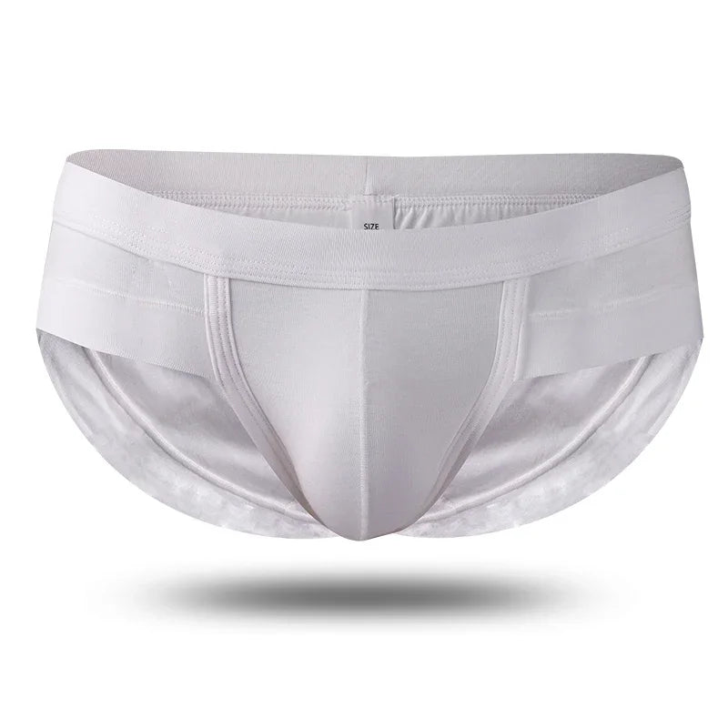 The Eclipse Brief
