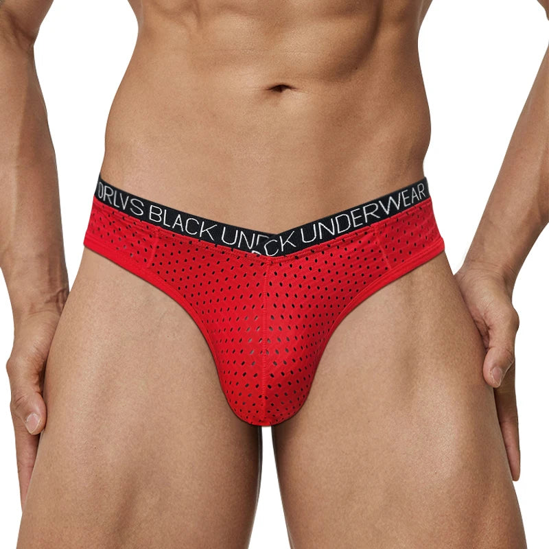 Sexy Men Mesh Underwear Briefs Gay Pouch Cuecas Man Sissy Panties Thongs Men's Underpants Slip Homme Srting Male Underwear