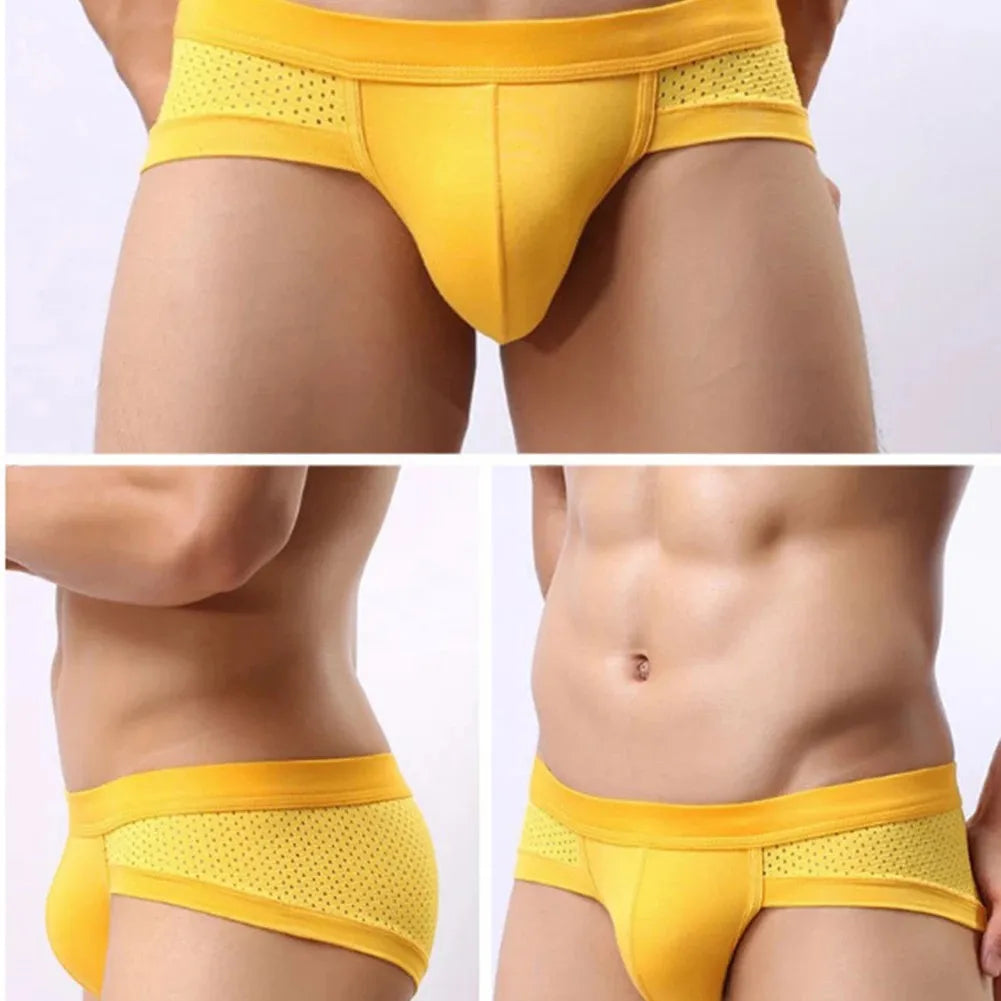 The Midnight Brief