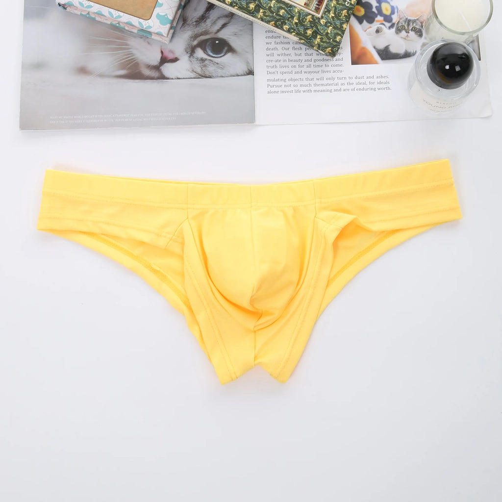 Man Underwear Sexy Low Rise Panties Men Penis Pouch Briefs Brazilian Erotic Lingerie Underpants Sleepwear cueca homme
