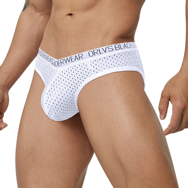Sexy Men Mesh Underwear Briefs Gay Pouch Cuecas Man Sissy Panties Thongs Men's Underpants Slip Homme Srting Male Underwear