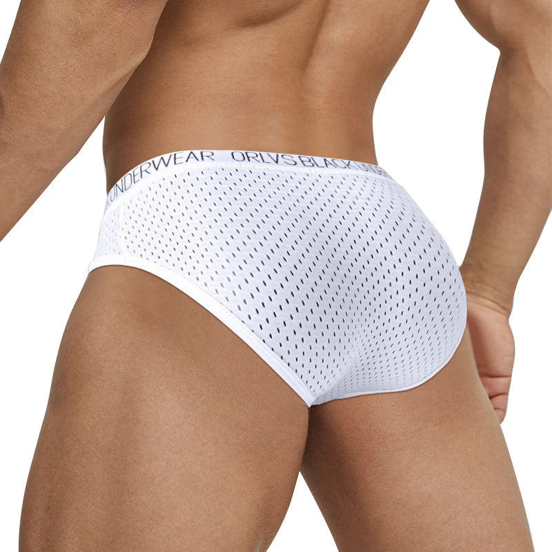 Sexy Men Mesh Underwear Briefs Gay Pouch Cuecas Man Sissy Panties Thongs Men's Underpants Slip Homme Srting Male Underwear