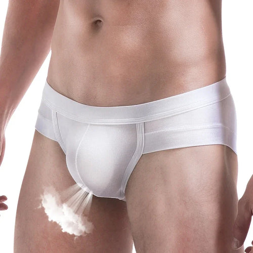 The Eclipse Brief