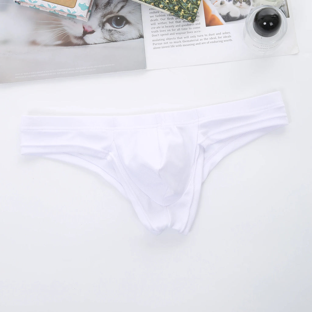 Man Underwear Sexy Low Rise Panties Men Penis Pouch Briefs Brazilian Erotic Lingerie Underpants Sleepwear cueca homme