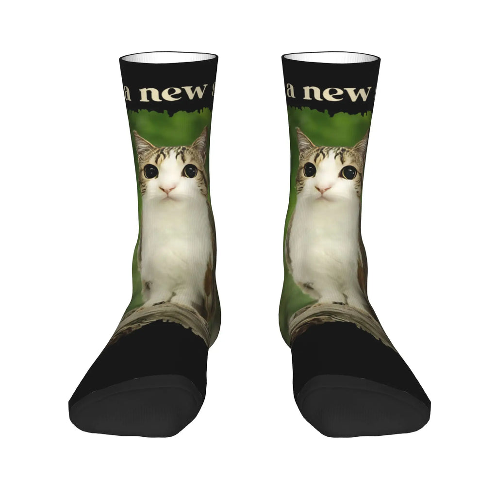 Unisex Men Socks Funny Meowl Meme Cat Owl Meme Brainrot Gen Stockings Winter Harajuku High Quality Socks Sports Anti Skid Socks