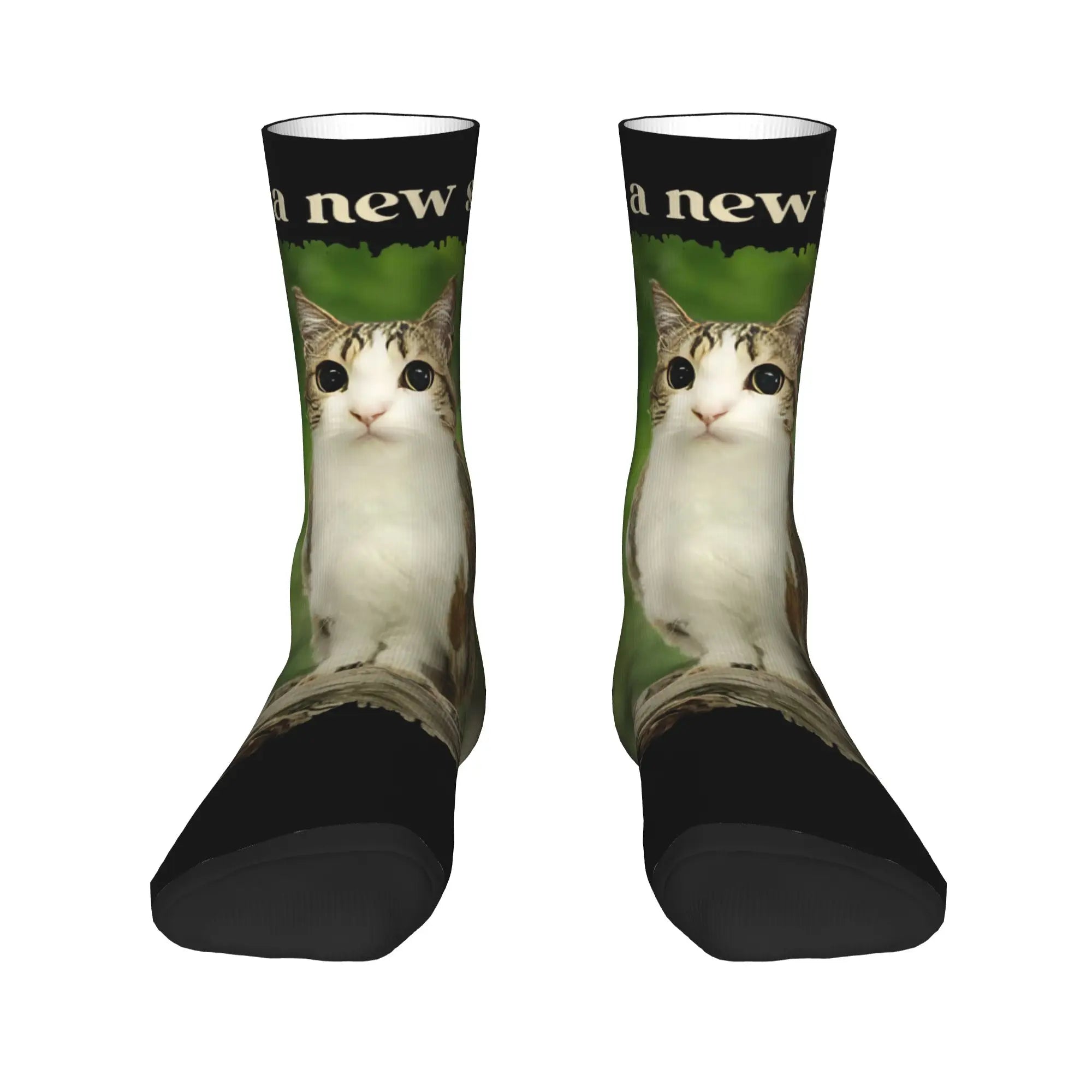 Unisex Men Socks Funny Meowl Meme Cat Owl Meme Brainrot Gen Stockings Winter Harajuku High Quality Socks Sports Anti Skid Socks