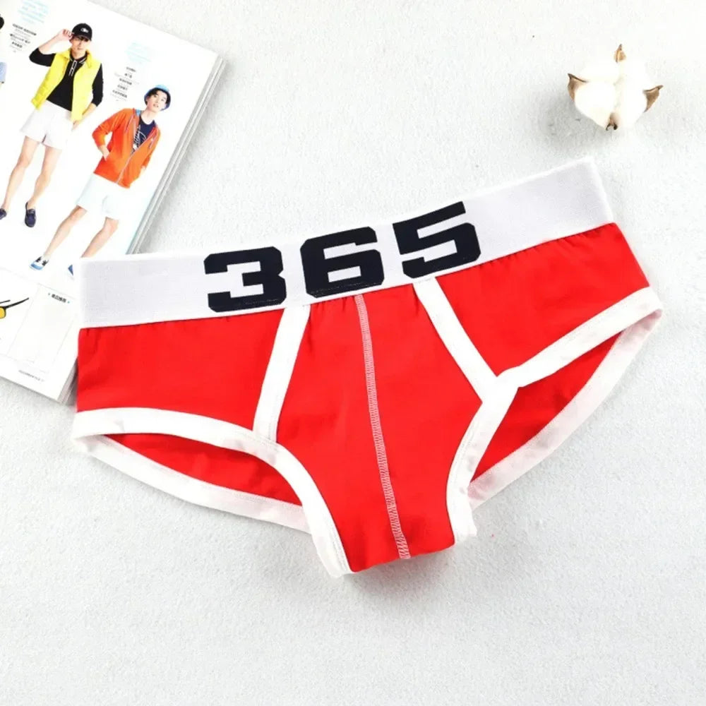 The Raven Brief