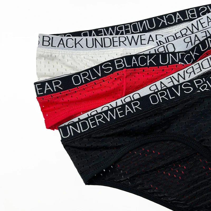 Sexy Men Mesh Underwear Briefs Gay Pouch Cuecas Man Sissy Panties Thongs Men's Underpants Slip Homme Srting Male Underwear