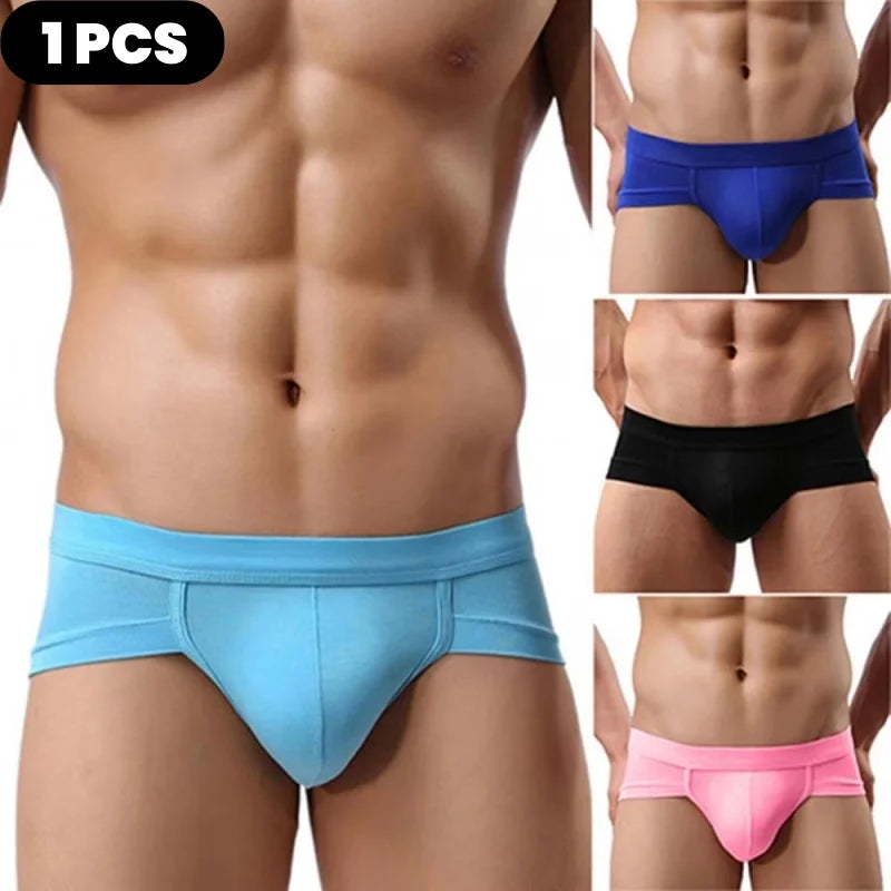 The Midnight Brief
