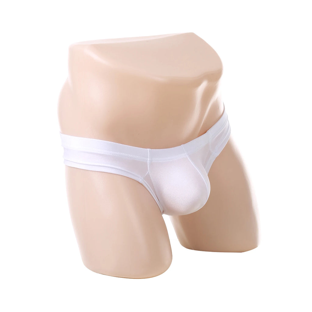 Man Underwear Sexy Low Rise Panties Men Penis Pouch Briefs Brazilian Erotic Lingerie Underpants Sleepwear cueca homme
