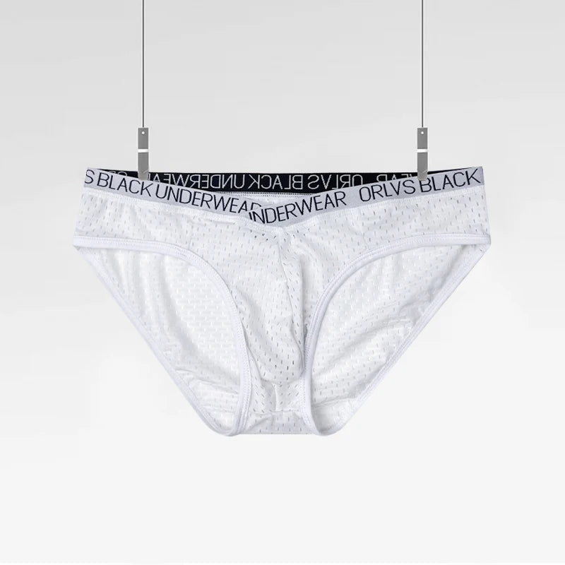 Sexy Men Mesh Underwear Briefs Gay Pouch Cuecas Man Sissy Panties Thongs Men's Underpants Slip Homme Srting Male Underwear