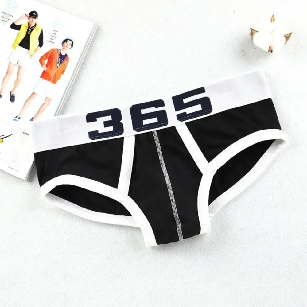 The Raven Brief