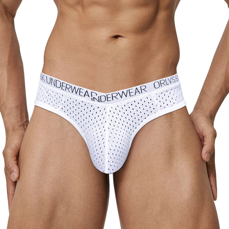 Sexy Men Mesh Underwear Briefs Gay Pouch Cuecas Man Sissy Panties Thongs Men's Underpants Slip Homme Srting Male Underwear