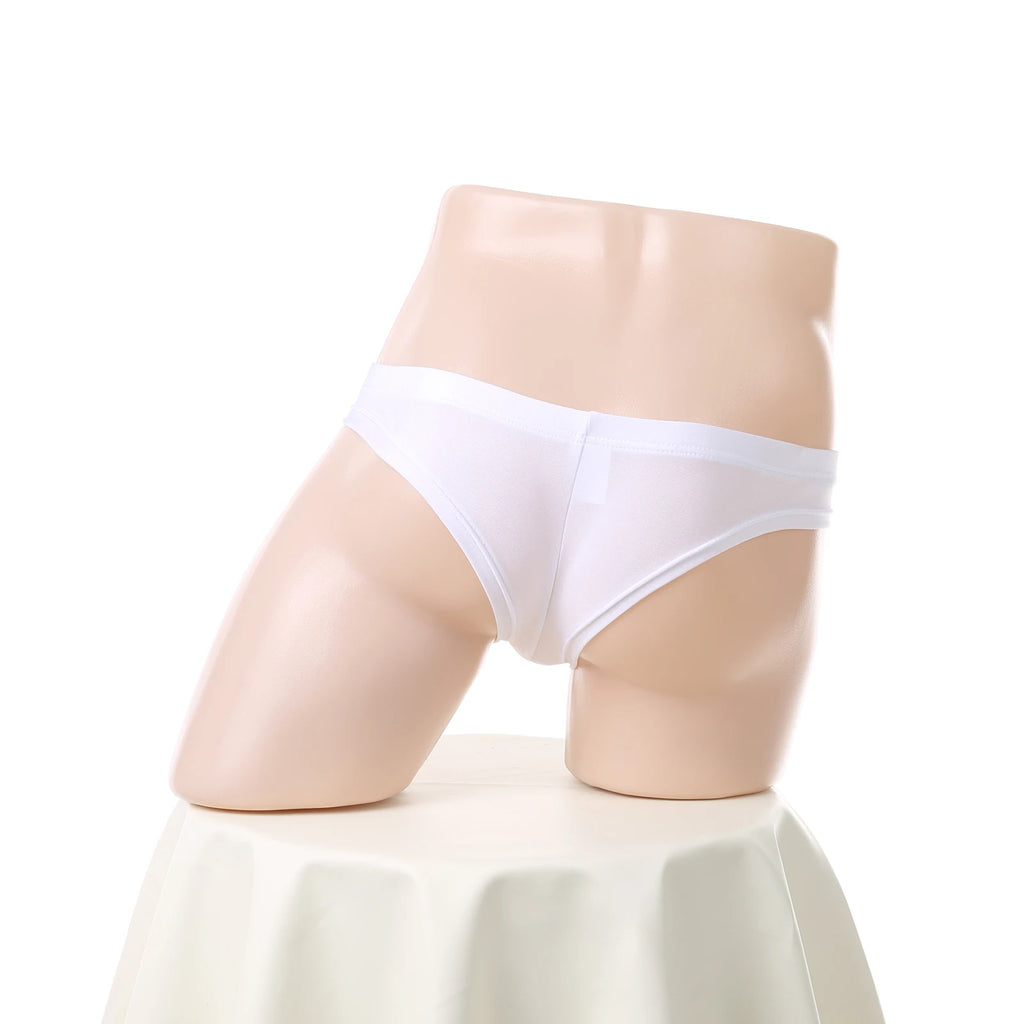 Man Underwear Sexy Low Rise Panties Men Penis Pouch Briefs Brazilian Erotic Lingerie Underpants Sleepwear cueca homme