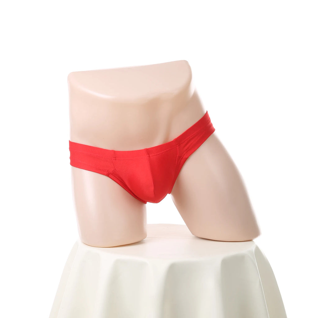 Man Underwear Sexy Low Rise Panties Men Penis Pouch Briefs Brazilian Erotic Lingerie Underpants Sleepwear cueca homme