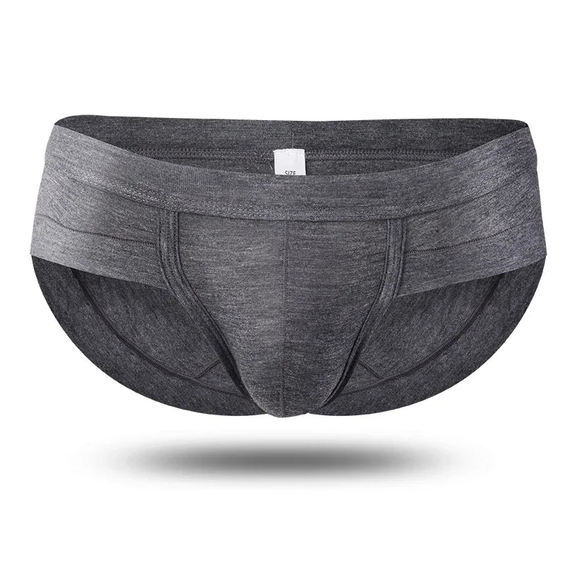 The Eclipse Brief