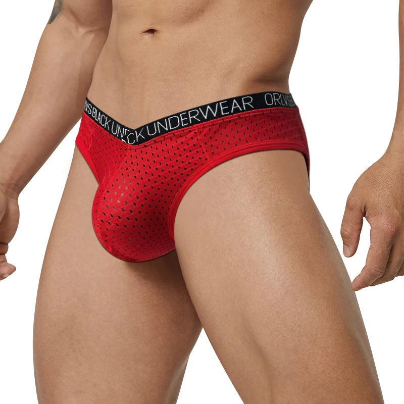 Sexy Men Mesh Underwear Briefs Gay Pouch Cuecas Man Sissy Panties Thongs Men's Underpants Slip Homme Srting Male Underwear