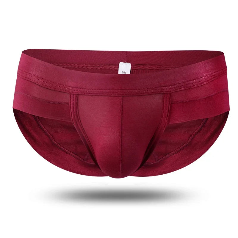 The Eclipse Brief