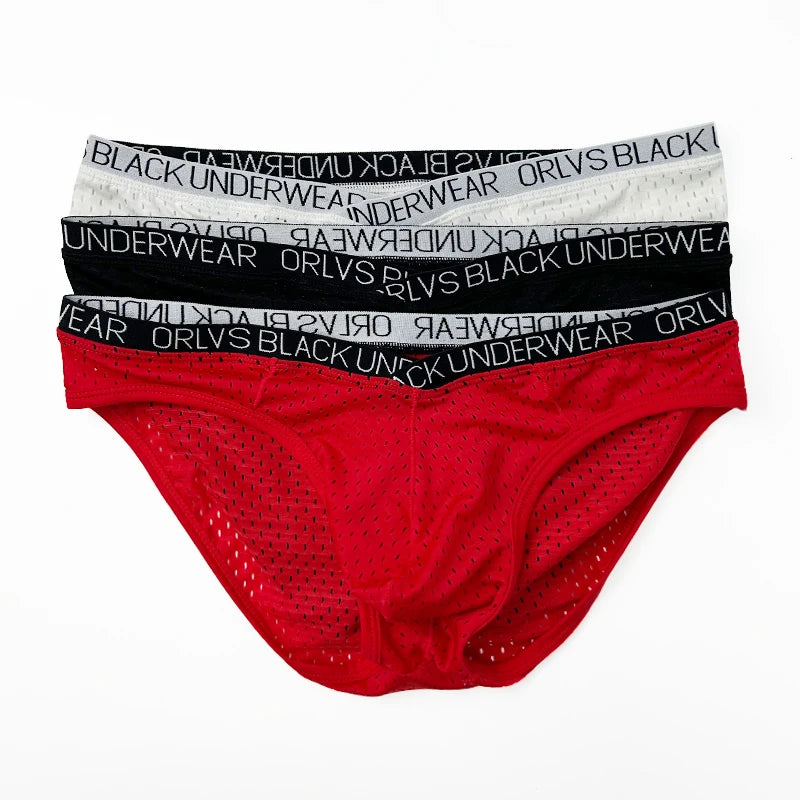 Sexy Men Mesh Underwear Briefs Gay Pouch Cuecas Man Sissy Panties Thongs Men's Underpants Slip Homme Srting Male Underwear