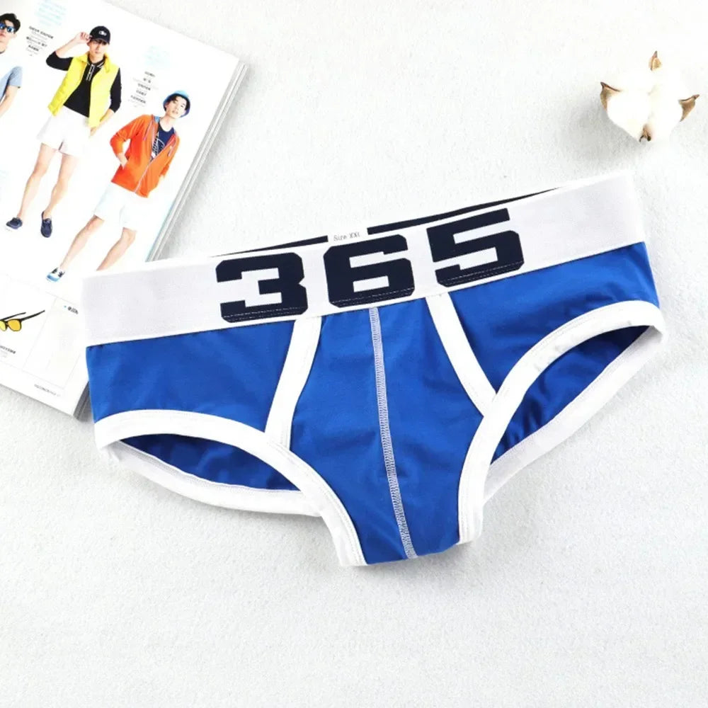 The Raven Brief