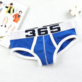 The Raven Brief