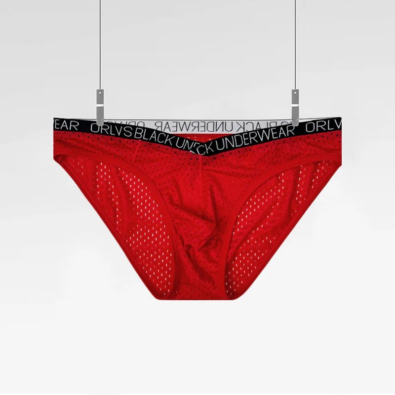 Sexy Men Mesh Underwear Briefs Gay Pouch Cuecas Man Sissy Panties Thongs Men's Underpants Slip Homme Srting Male Underwear